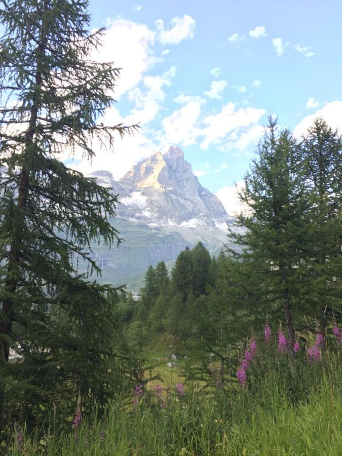 Complesso i Dadi - Condominio Cielo Alto Breuil-Cervinia Esterno foto